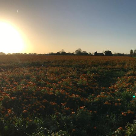 Villa Eindeloos Asselt Swalmen Esterno foto